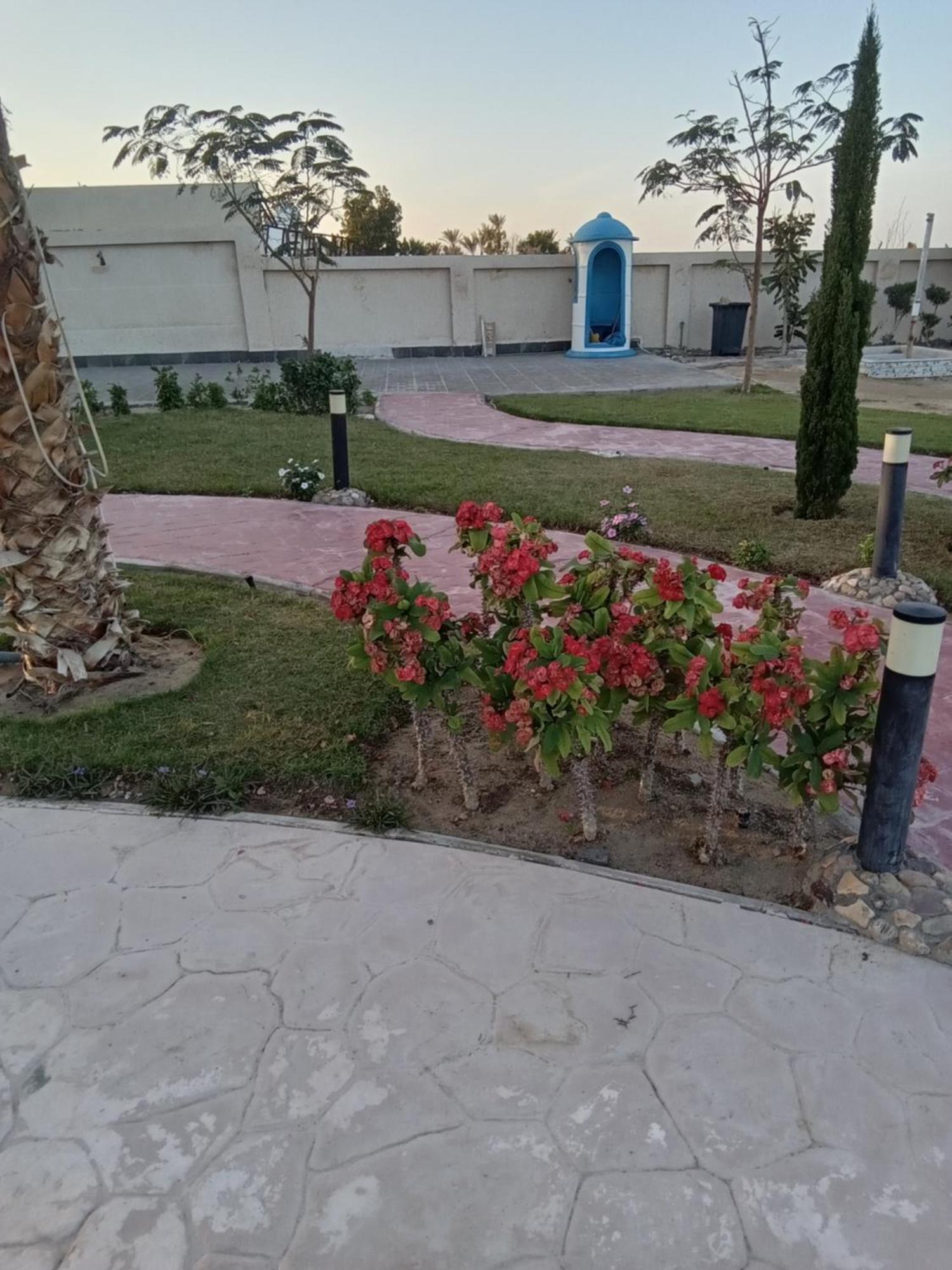 Casablanca Beach For Families And Couples Only Aparthotel Hurghada Luaran gambar